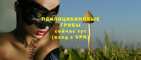 скорость mdpv Кинешма