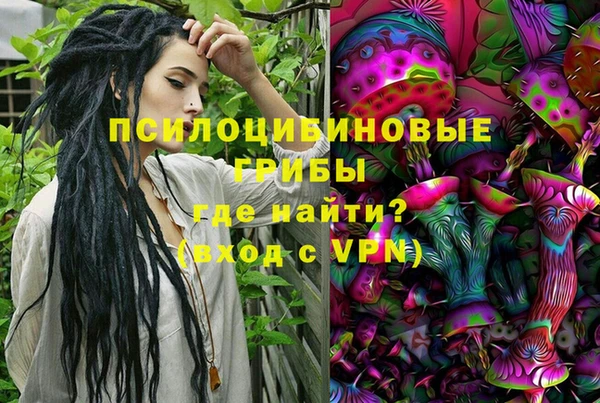 spice Лагань